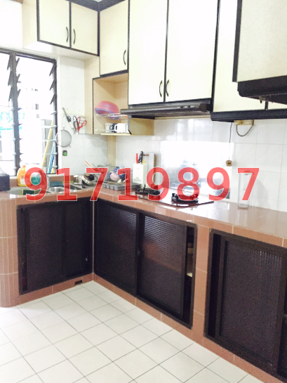 Blk 471 Choa Chu Kang Avenue 3 (Choa Chu Kang), HDB 4 Rooms #38420212